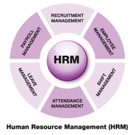 Hrm Strategy