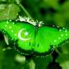 Brief History of Pakistan
