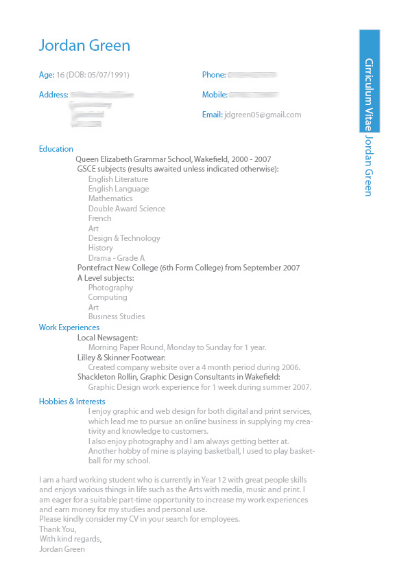 professional cv format in ms word doc pdf free download
