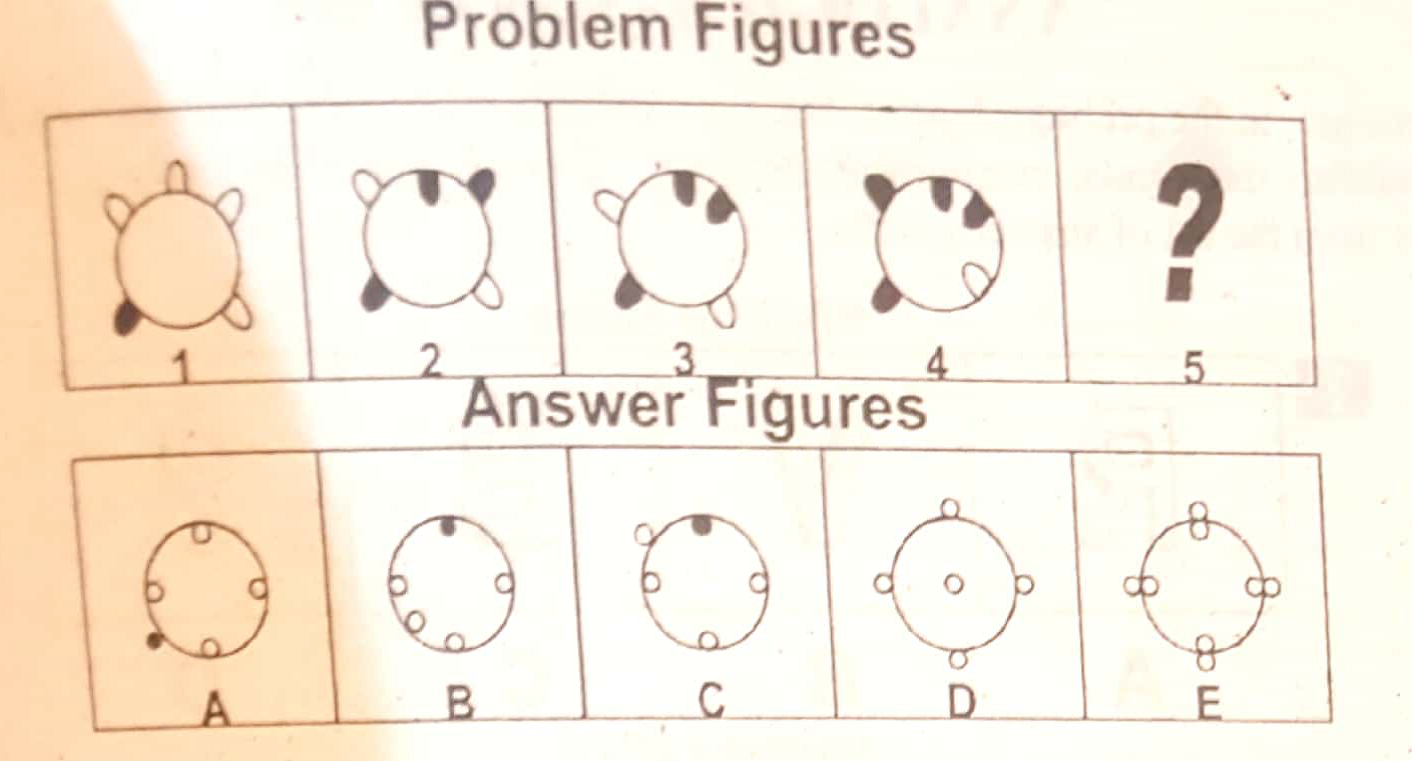 PAF Intelligence Test MCQs Preparation