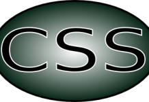 CSS Syllabus 2020 PDF FPSC Download Online