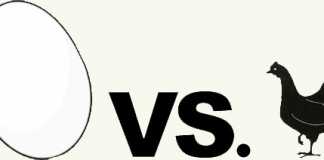 Debate On What Came First the Chicken or The Egg