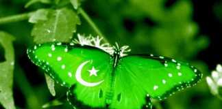Brief History of Pakistan in English