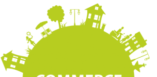 Courses After 12th Commerce