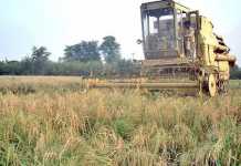Agricultural Problems And Importance In Pakistan