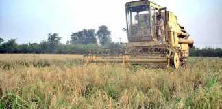 Agricultural Problems And Importance In Pakistan