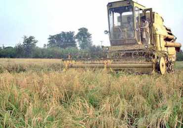 Agricultural Problems And Importance In Pakistan