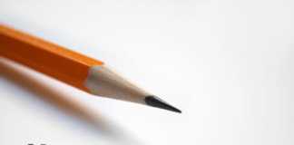 career as Human Resource Manager