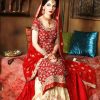 Pakistani Bridal Dresses 2018 2