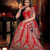 Pakistani Bridal Dresses 2018 6