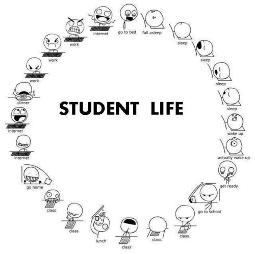 Student Life Is Golden Life