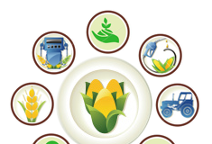 Top Agricultural Universities in Pakistan List