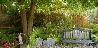 Essay-on-my-Hobby-Gardening
