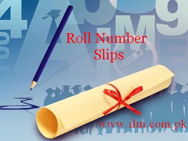 1st Year, 2nd Year Roll No Slip 2024 All Board Online Download