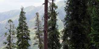 College Tour to Swat Hill Stations of Pakistan Essay
