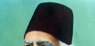 Biography of Sir Syed Ahmed Khan Essay