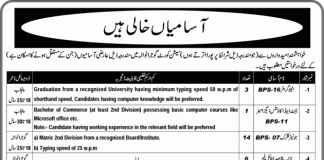 District & Sessions Court Stenographer & Clerk Jobs