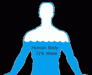 Human Body And Water