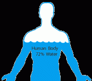 Human Body And Water