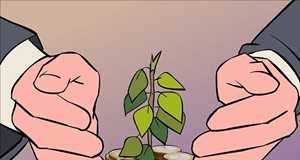 Small Investment Opportunities in Pakistan