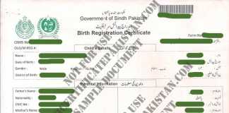 Nadra Birth Certificate Sample