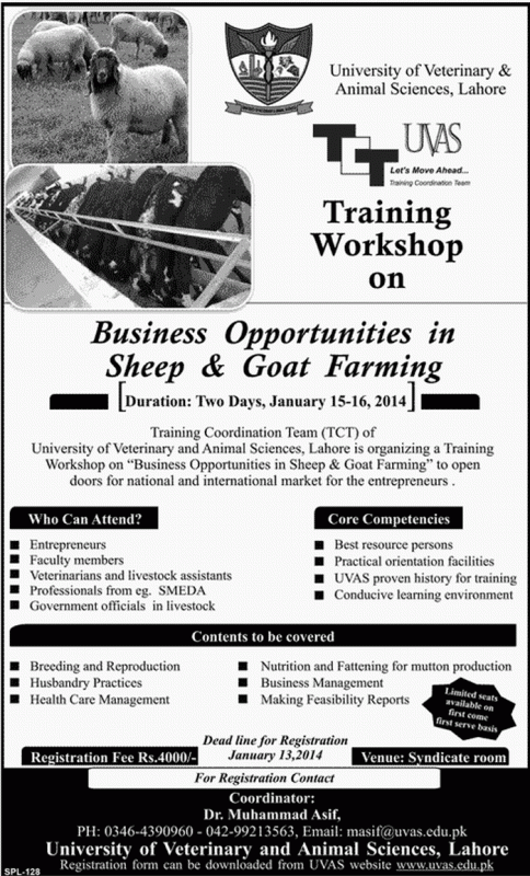 Training Workshop on Business Opportunities in Sheep, Goat Farming