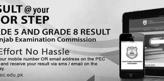 Check 8th Class Result 2020 By SMS and Email on Mobile