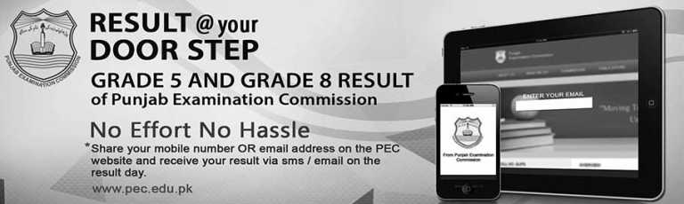 Check 8th Class Result 2021 By SMS and Email on Mobile