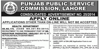 PPSC Veterinary Officer, Additional Principal Jobs 2014 Apply Online, Past paper