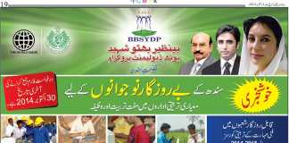 Benazir Youth Development Program Courses 2017 Matric, Inter, Diploma