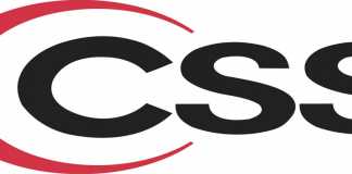 CSS Occupational Groups and Services Under Federal Government