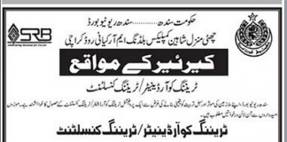 sindh revenue board training coordinator, Consultant Jobs 2014 Form Download
