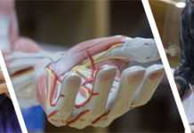 Dow University of Health Sciences Karachi Diploma Courses List
