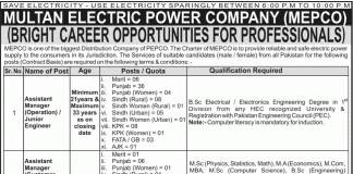 MEPCO Multan Jobs 2015 NTS Form
