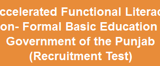 Literacy and Non Formal Basic Education NTS Test Result 2015 Answer Keys