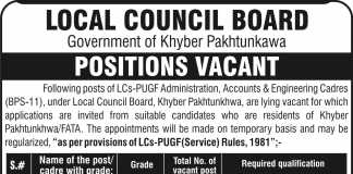 Local Council Board KPK Jobs 2015 NTS Application Form Last Date