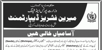 Marine Fisheries Department Jobs 2015 Eligibility, Form Last Date