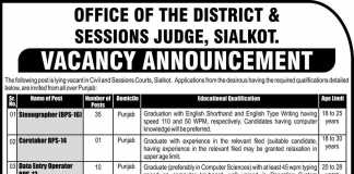 District And Session Judge Office Sialkot Jobs 2015 NTS Application Form Download