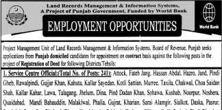 PMU LRMIS Board Of Revenue Jobs 2015 Service Centre Official Land Records Management