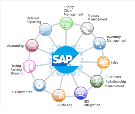 sap ecc 6.0 modules