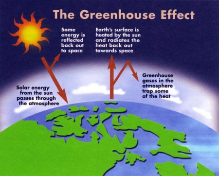 Greenhouse Effect Environmental issue of Pakistan