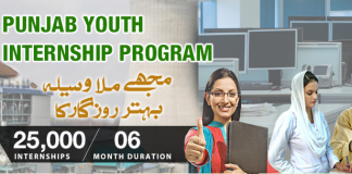 Punjab Youth Internship Program 2017-2018 Online Apply Registration