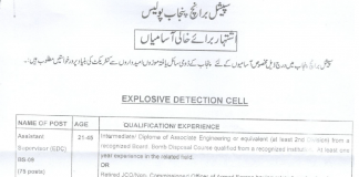 Punjab Police Special Branch Jobs 2016 NTS Application Form