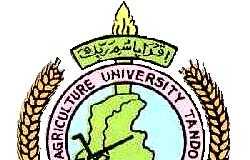 Sindh Agriculture University Entry Test Result 2018