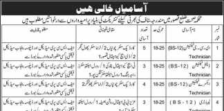 Health Department Kasur Jobs 2016 Application Form Date Advertisement
