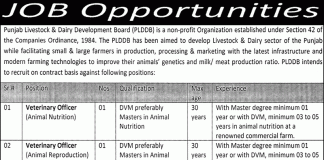 PLDDB Jobs 2016 Punjab Livestock And Dairy Development Board Jobs Application Form