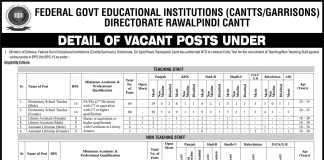 Federal Govt Educational Institute Jobs 2016 Teaching, Non Teaching Staff NTS Form