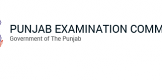 Mandi Bahauddin 5th Class Result 2019 Layyah, Narowal