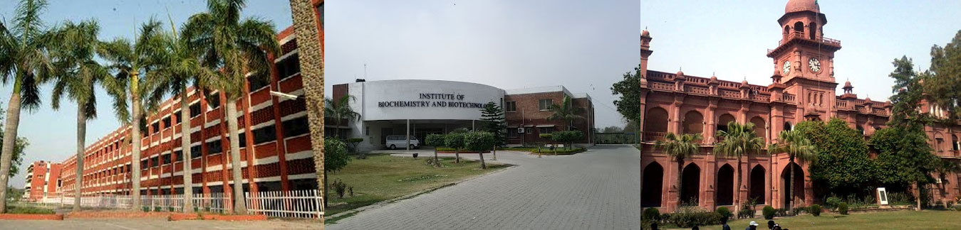 Punjab University PU MA, MSc, B.Com Roll Number Slip 2022