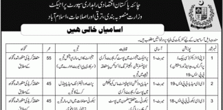 China Pakistan Economic Corridor Support Project Jobs 2016 Application Form Last Date
